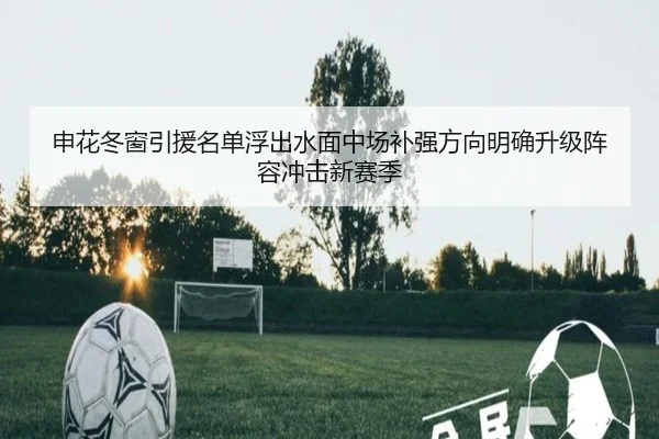 申花冬窗引援名单浮出水面中场补强方向明确升级阵容冲击新赛季
